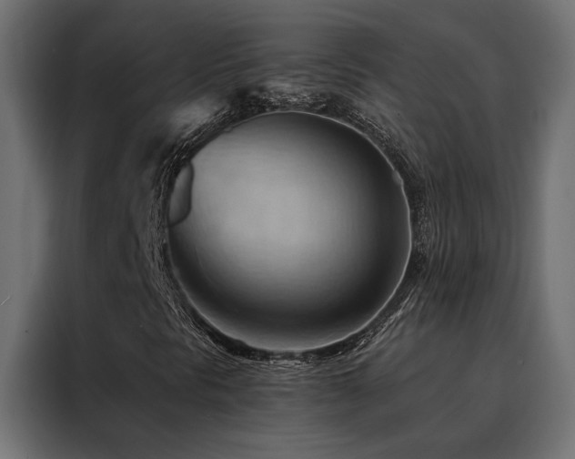 X0000088491297200705221419