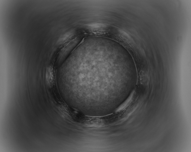 X0000088491298200705221419