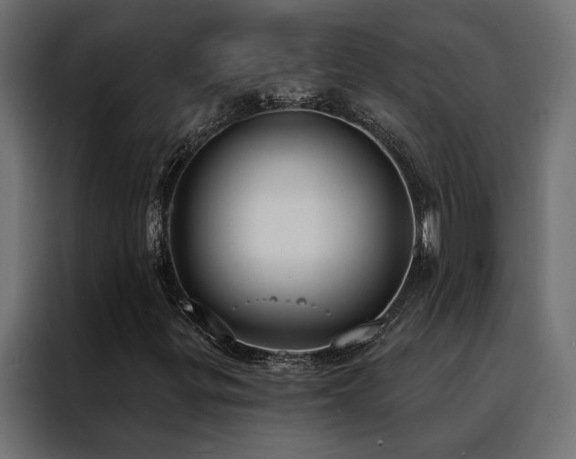 X0000088491299200705221419