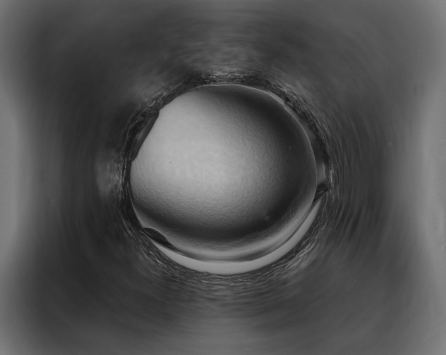X0000088491300200705221419