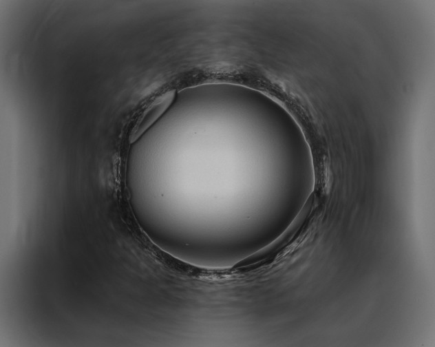 X0000088491301200705221419