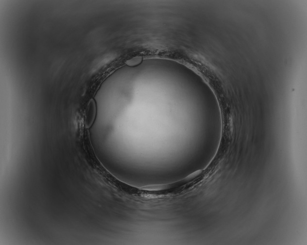 X0000088491302200705221419