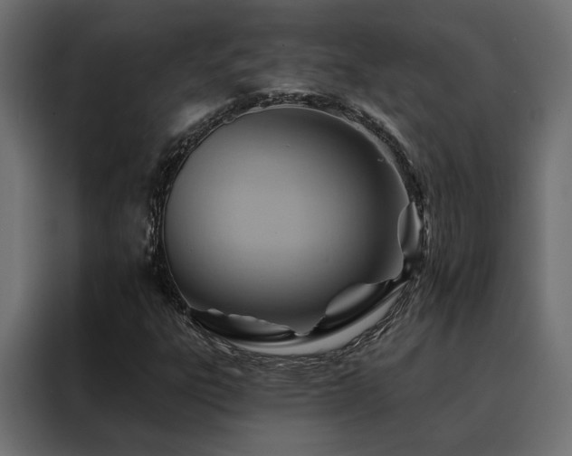X0000088491303200705221419