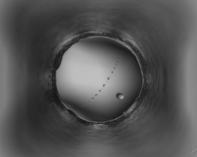 X0000088491304200705221419