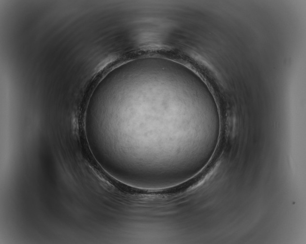 X0000088491305200705221419