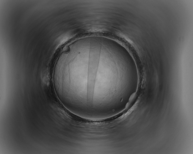 X0000088491306200705221419