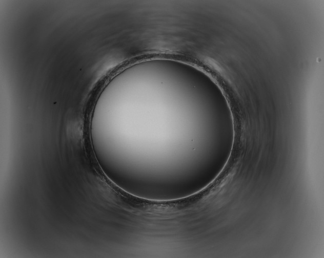 X0000088491307200705221419