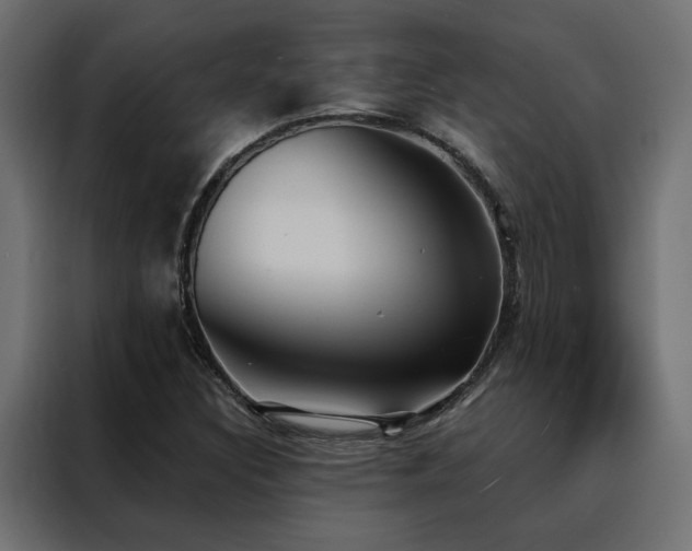 X0000088491308200705221419