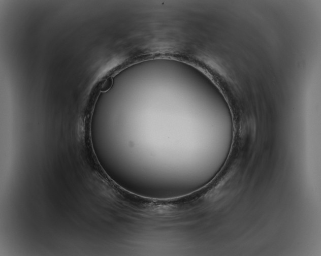X0000088491309200705221419