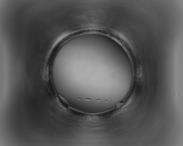 X0000088491310200705221419