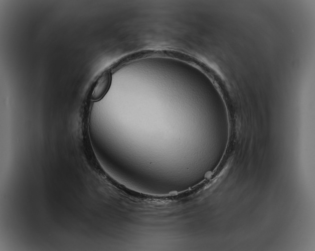 X0000088491311200705221419