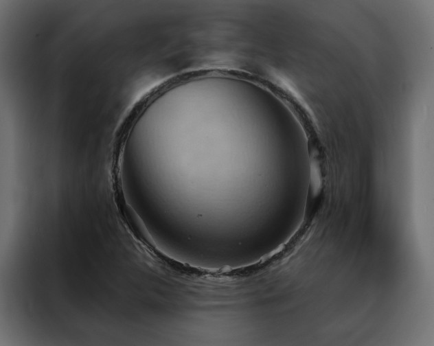 X0000088491312200705221419