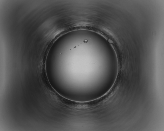 X0000088491313200705221419
