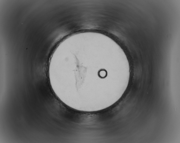 X0000088491314200705221419