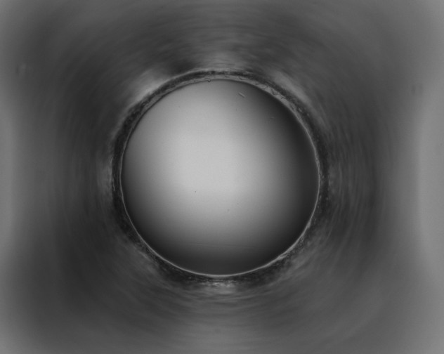 X0000088491315200705221419