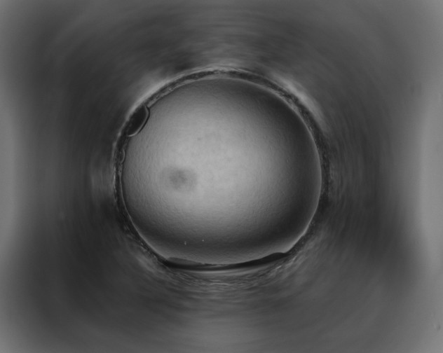 X0000088491316200705221419