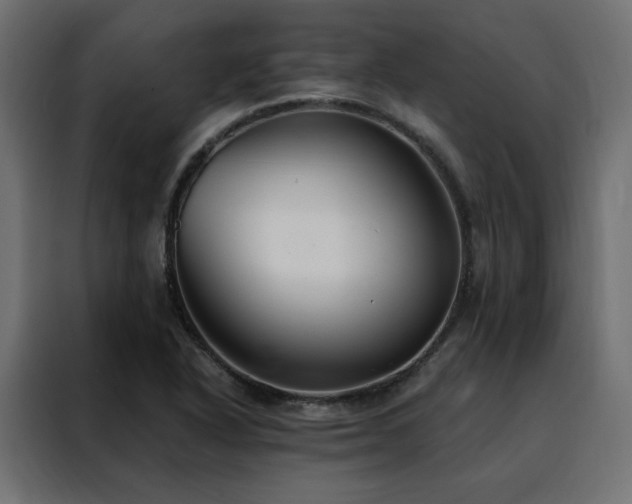 X0000088491318200705221419