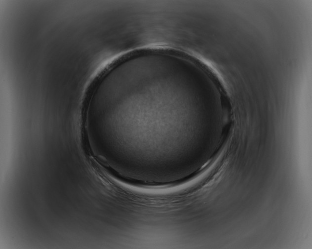 X0000088491319200705221419