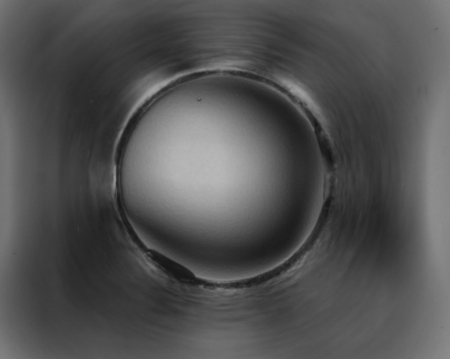 X0000088491324200705221419