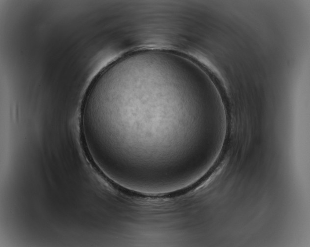 X0000088491325200705221419