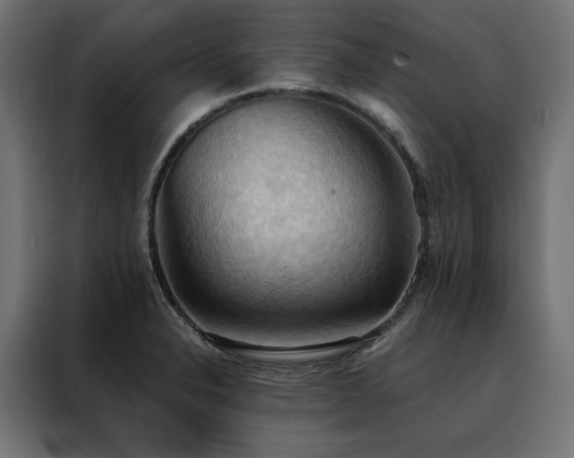 X0000088491326200705221419