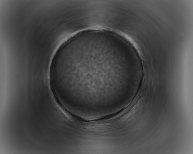 X0000088491327200705221419