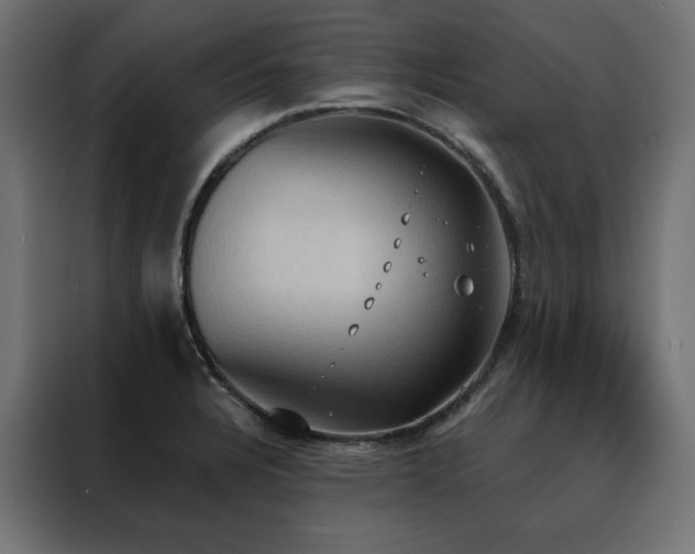 X0000088491328200705221419