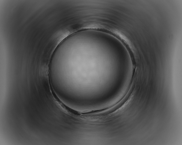 X0000088491329200705221419