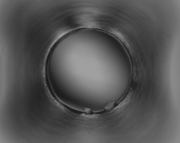 X0000088491331200705221419