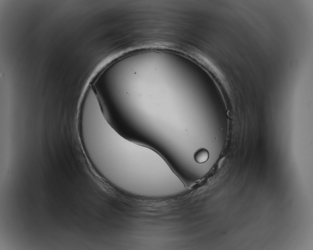 X0000088491332200705221419