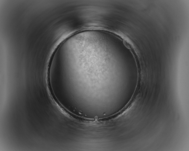 X0000088491333200705221419