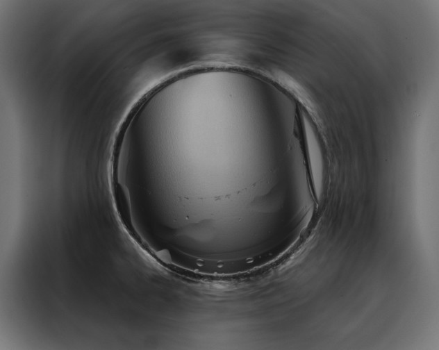 X0000088491334200705221419
