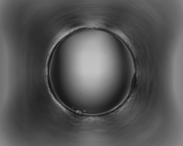 X0000088491335200705221419