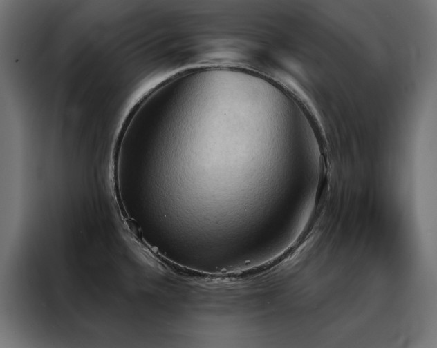 X0000088491336200705221419