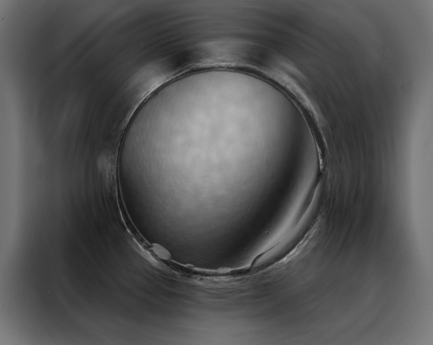 X0000088491337200705221419