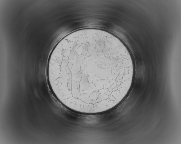 X0000088491338200705221419