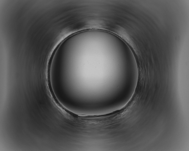 X0000088491339200705221419