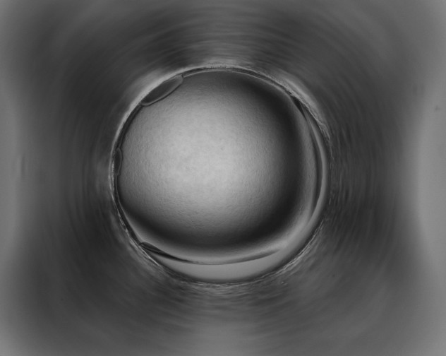X0000088491340200705221419