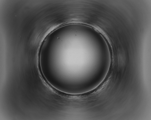 X0000088491341200705221419