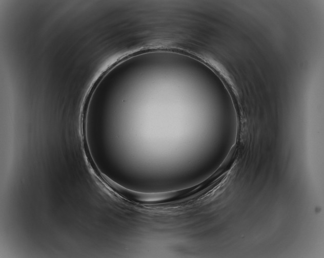 X0000088491342200705221419
