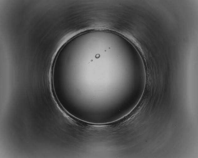 X0000088491343200705221419