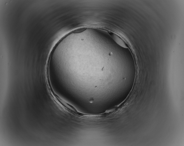 X0000088491344200705221419