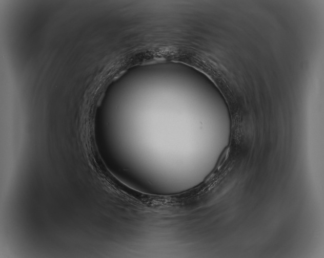 X0000088491345200705221419