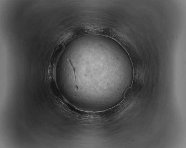 X0000088491346200705221419