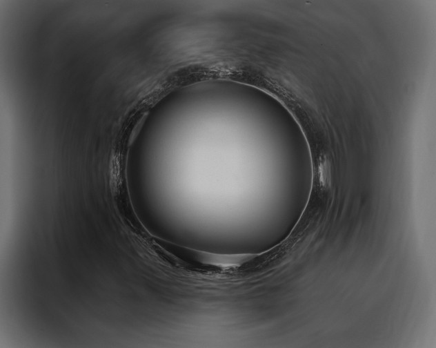 X0000088491347200705221419