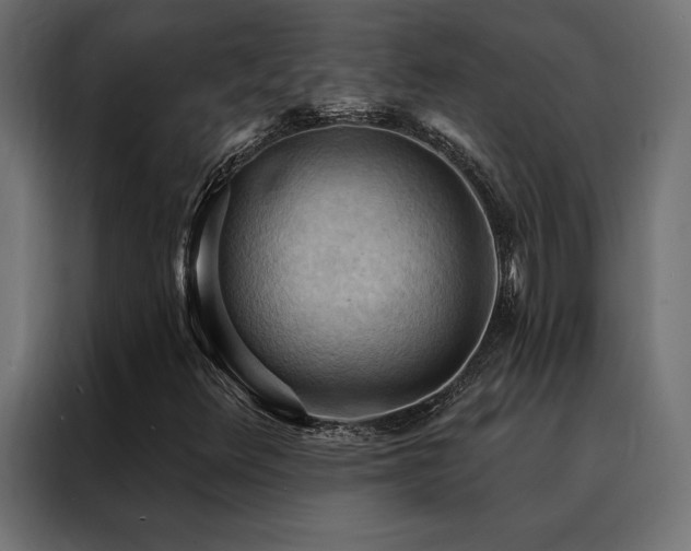 X0000088491348200705221419