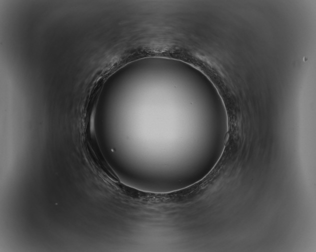 X0000088491349200705221419