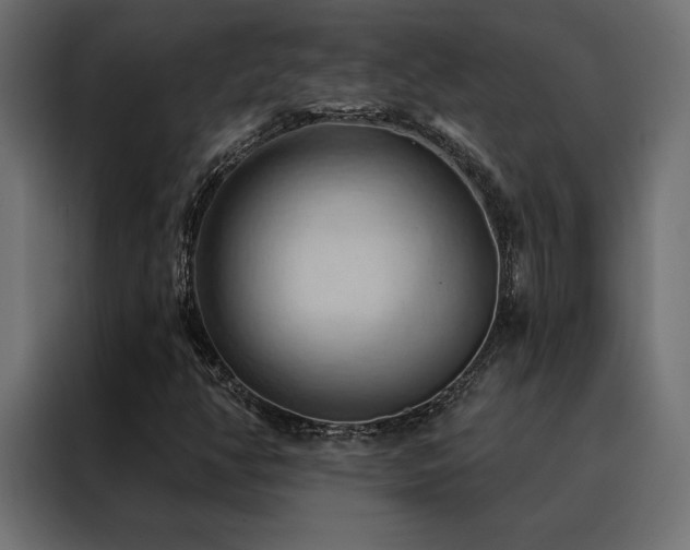 X0000088491350200705221419
