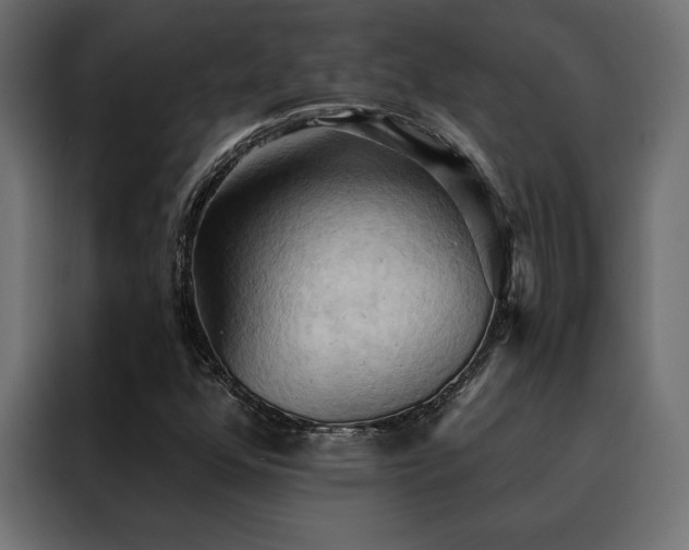X0000088491352200705221418