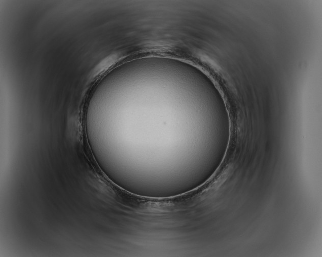 X0000088491354200705221418